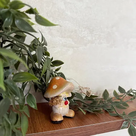 Venero -
